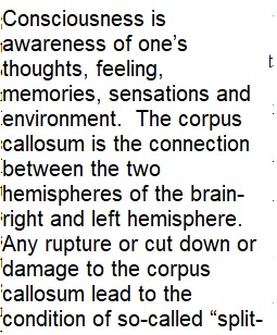 Split brain and Doug's trial